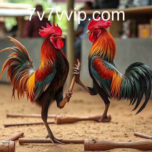 Exploring the World of Sabong Games and the Allure of 7V7V